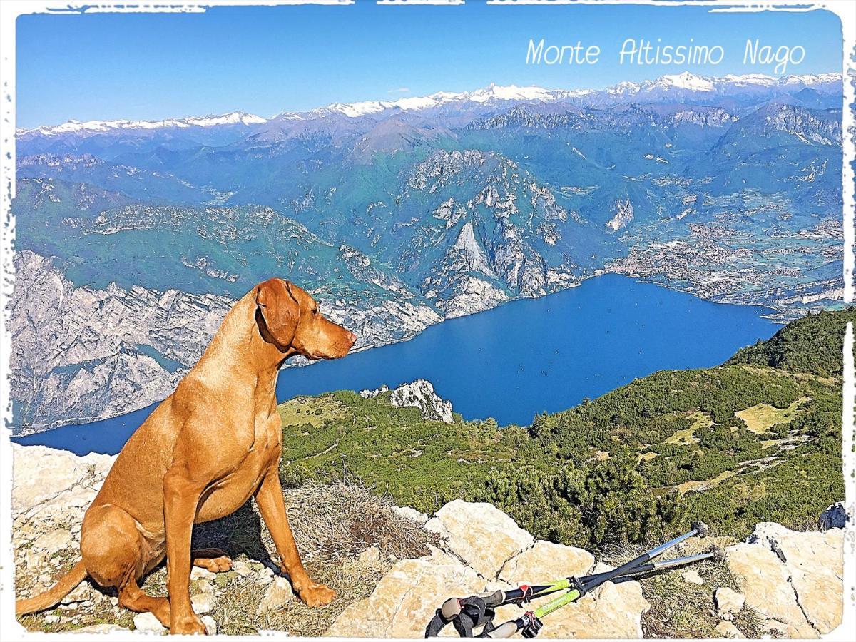 Viewlake Apartment Torbole Sul Garda Exteriér fotografie